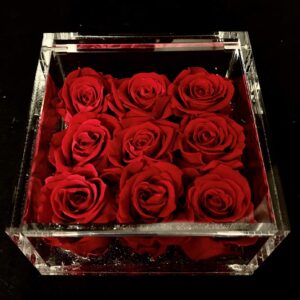 Flower cube piccolo nove rose rosse