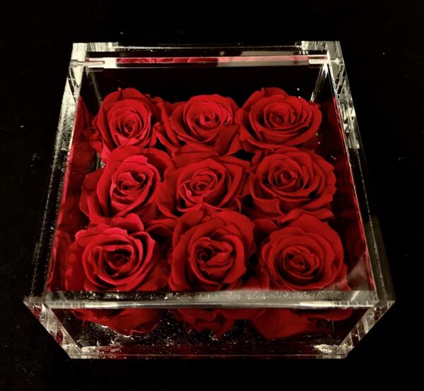 Flower cube piccolo nove rose rosse