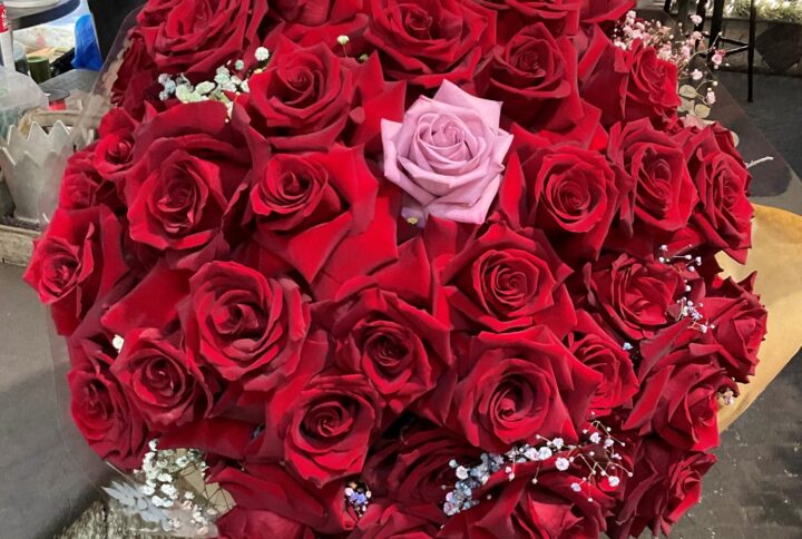 rose rosse regalo floreale amore