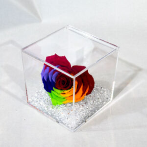 Box plexyglass con rosa a forma di cuore stabilizzata