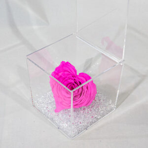 Box plexyglass con rosa a forma di cuore stabilizzata