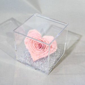 Box plexyglass con rosa a forma di cuore stabilizzata