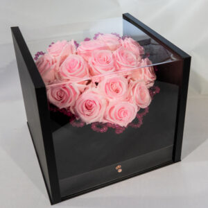 Box nero e pexiglass di rose stabilizzate bianche